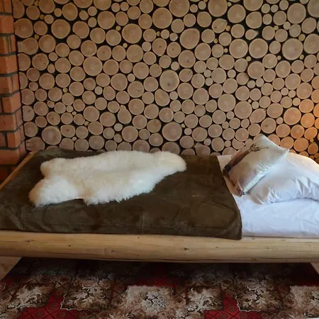 Tatra Slow Pokoje I Apartamenty Kościelisko Exterior foto
