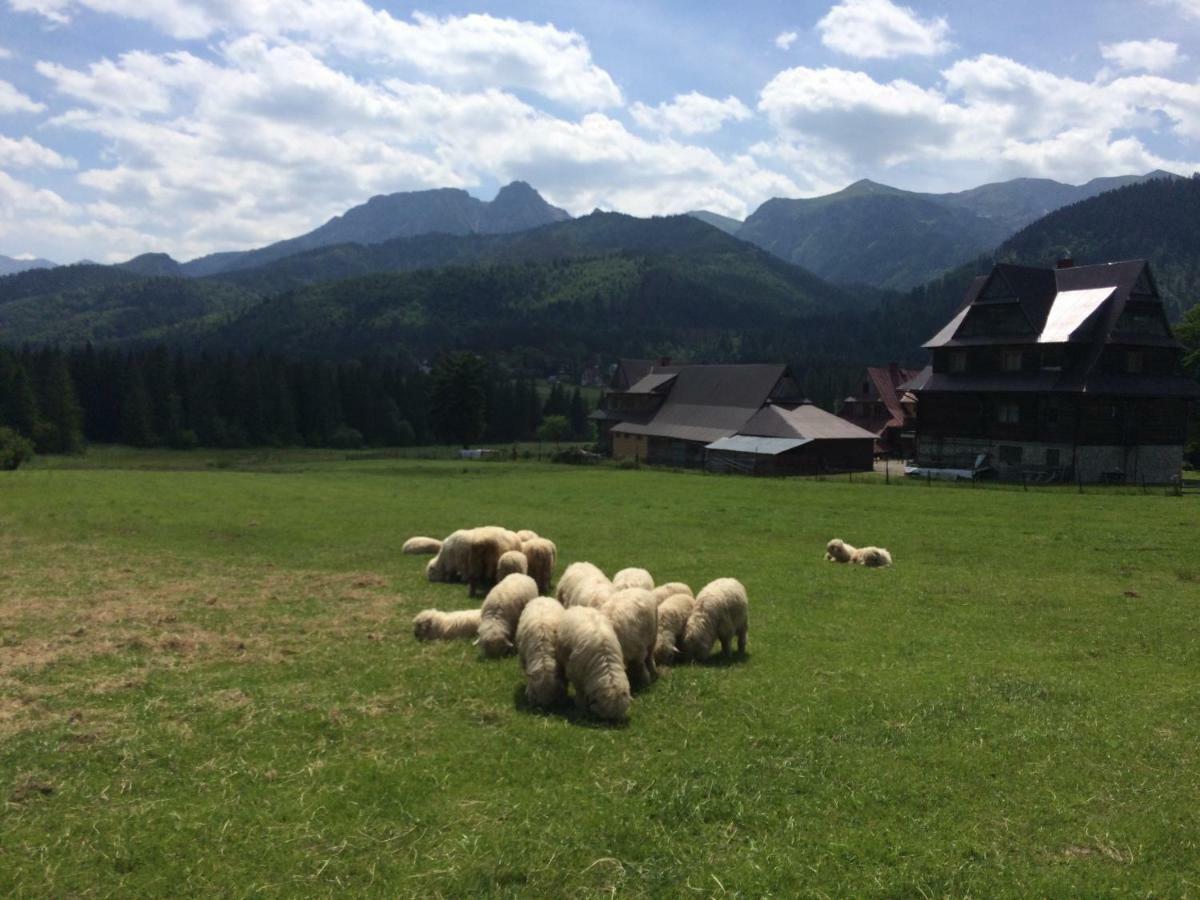 Privatunterkunft Tatra Slow I Kościelisko